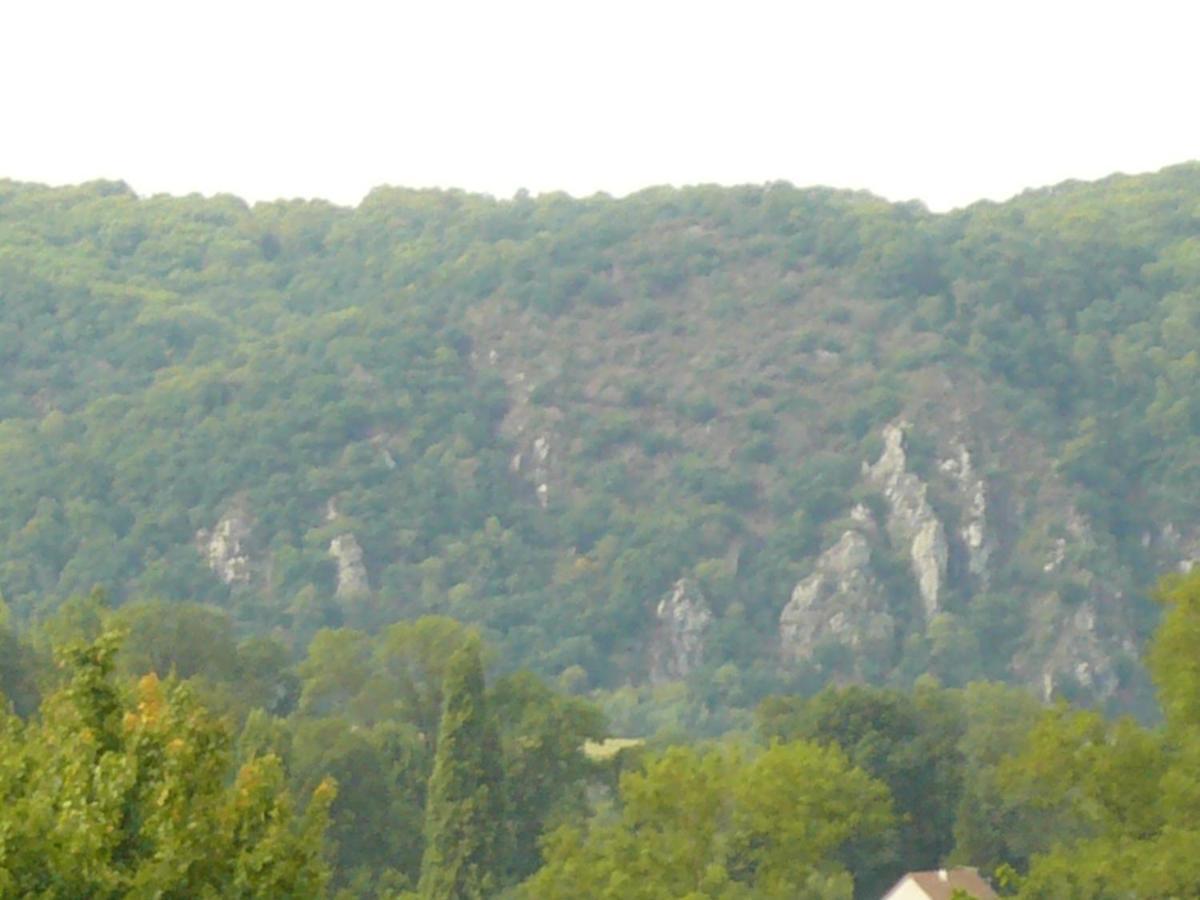 Chambre D'Hotes De La Mousse Saint Remy sur Orne Exteriör bild